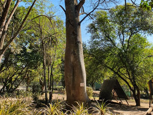 Sakabula Country Lodge