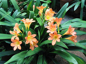 Sakabula Country Lodge