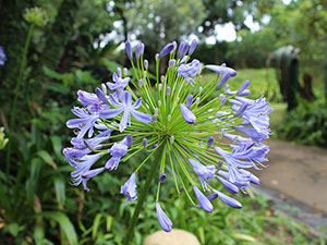 Sakabula Country Lodge