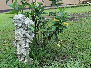 Sakabula Country Lodge