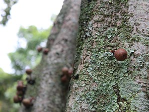 Sakabula Country Lodge