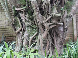 Sakabula Country Lodge