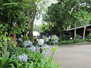 Sakabula Country Lodge