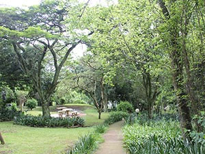 Sakabula Country Lodge