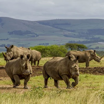 Sakabula Country Lodge